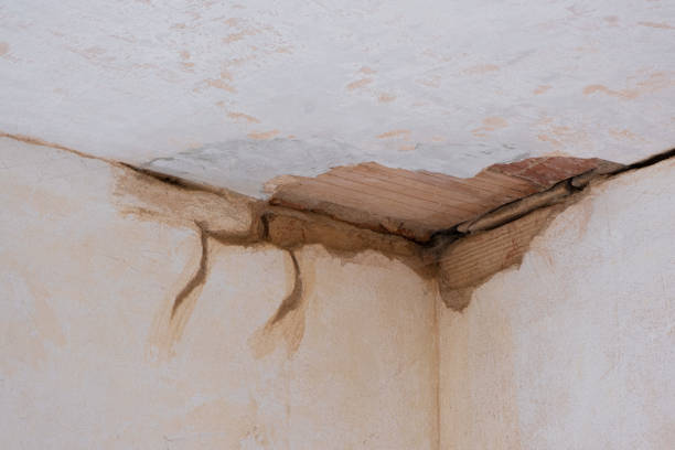 Best Residential water damage restoration  in Mineola, TX