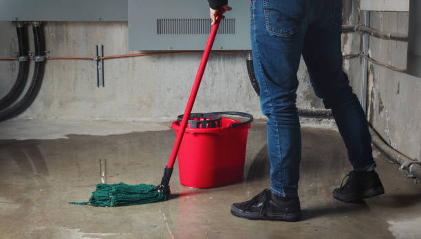Best Water damage repair service  in Mineola, TX