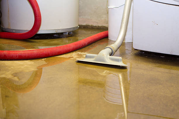 Best Water damage restoration near me  in Mineola, TX