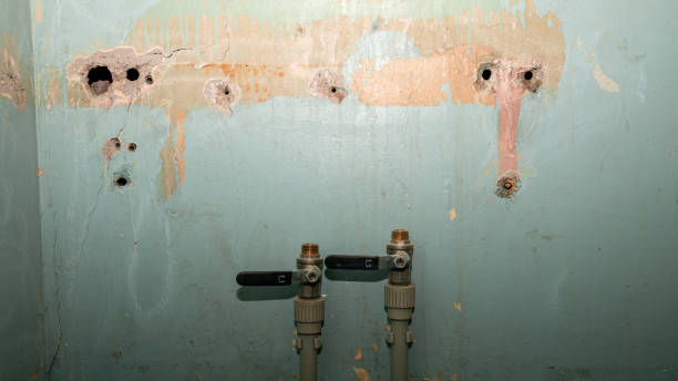 Best Local water damage restoration  in Mineola, TX