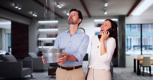 Best 24-hour water damage restoration  in Mineola, TX